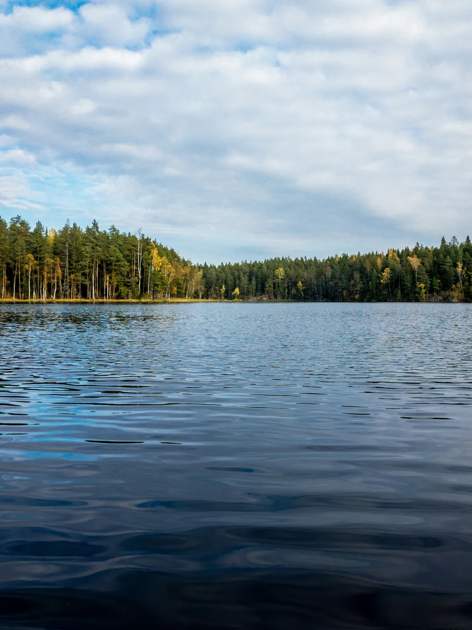 Un lac calme bordé de forêt sous un ciel nuageux.