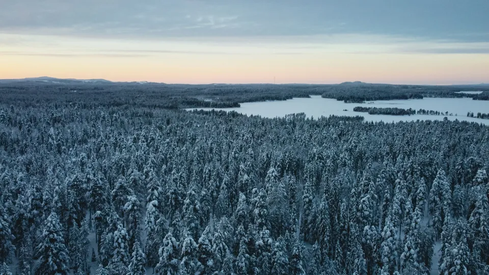 La forêt enneigée vue du ciel, un lac gelé à l’horizon.