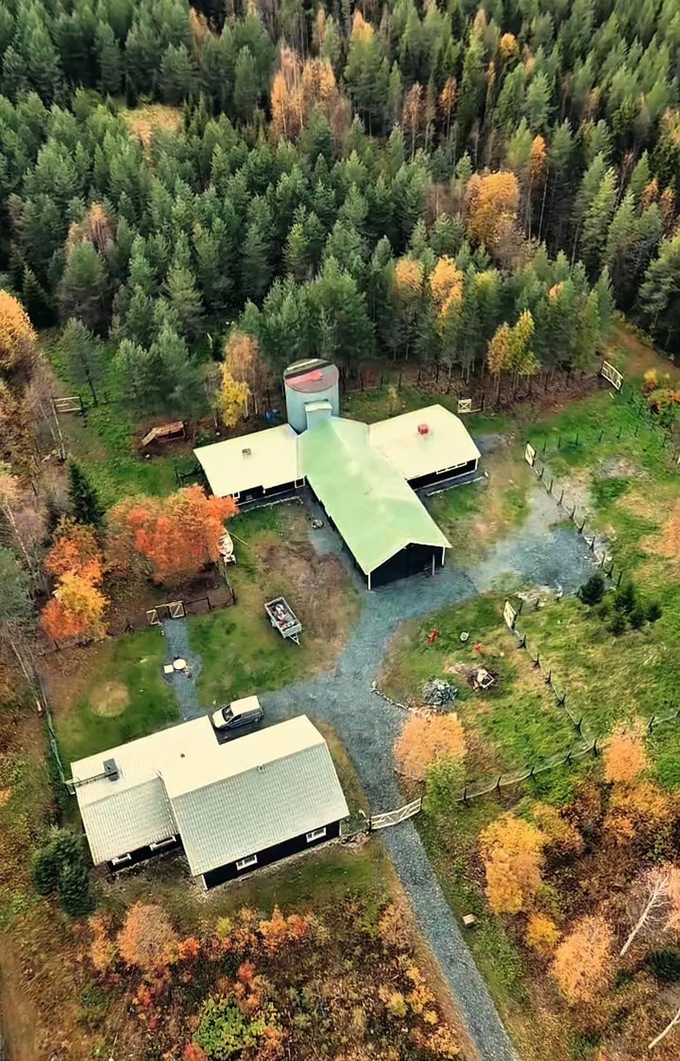 Vue aérienne de la maison et du chenil entre les bouleaux et les sapins, en automne.